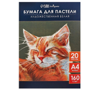 Бумага для пастели А4 «Кот», 20 л., 160 г/м² Бумага для пастели А4 «Кот», 20 л., 160 г/м²