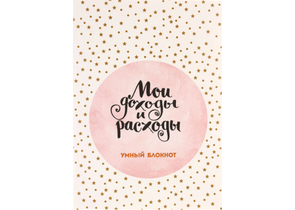 Книжка записная «Мои доходы и расходы», 150×210 мм, 88 л., «Большой CashBook»