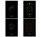 Тетрадь школьная А5, 40 л. на скобе Black Cat, 150×210 мм, клетка, ассорти