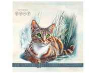 Скетчбук на резинке «Кошачий портрет» Скетчбук на резинке «Кошачий портрет»